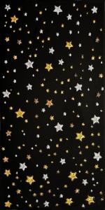 Seramiksan Yıldız Siyah Parlak Dekor Seramiği BMF156 - 30X60