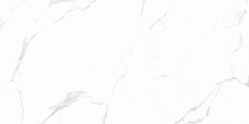 Anka Klasik Carrara Silver Mat Rektifiyeli Yer Duvar Seramiği KLA5 - 60x120