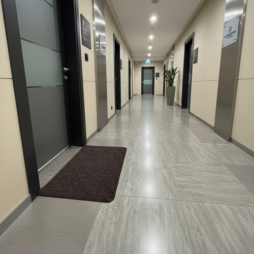 Kapı Önü Temizlik Paspası Bordo 60X90 cm
