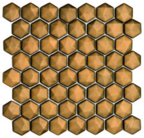 Hexagon Cam Mozaik FBA 005