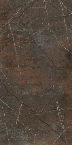 Dura Tiles Aras Brown Parlak Rektifiyeli Yer Duvar Seramiği 67338 60x120cm