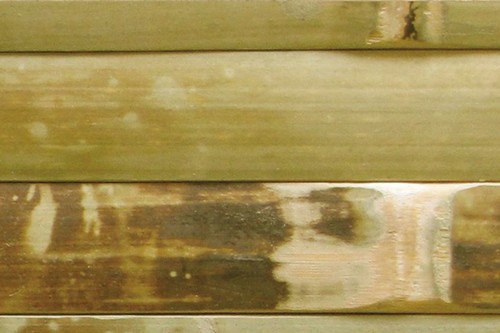Bambu Duvar Kaplama Skex-17H