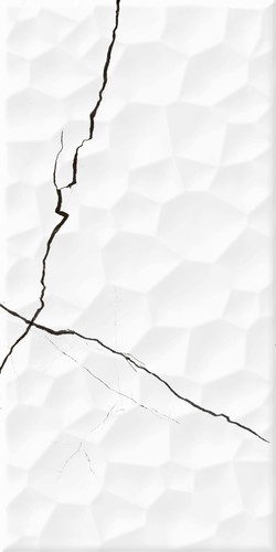 Anka Eva Form Beyaz Parlak Dekor Seramiği EVA4 - 30x60