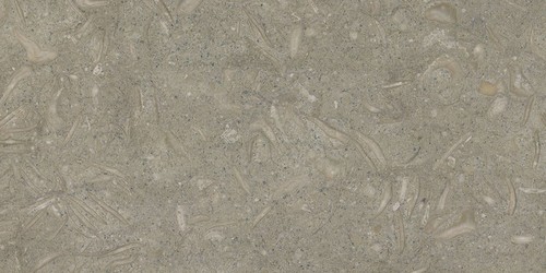 Seagrass Limestone Honlu Yer Döşemesi-60x120x2cm