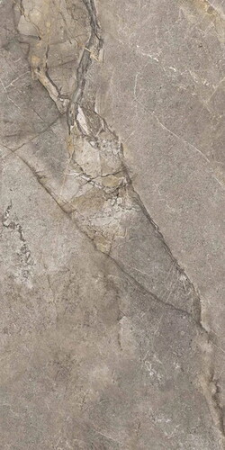 Çanakkale Seramik Fiori Di Bosco Parlak Gri Rektifiyeli Yer Duvar Seramiği 60x120 310100800571